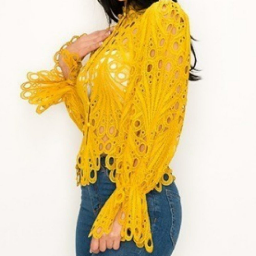 Long Sleeve See Through Collared Blouse - Just Pretty LLC